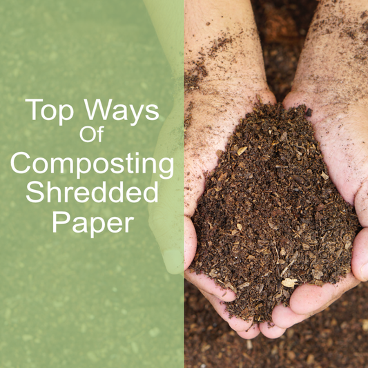 Top Ways of Composting With Shredded Paper – Sustainable Waste Management for a Greener Future